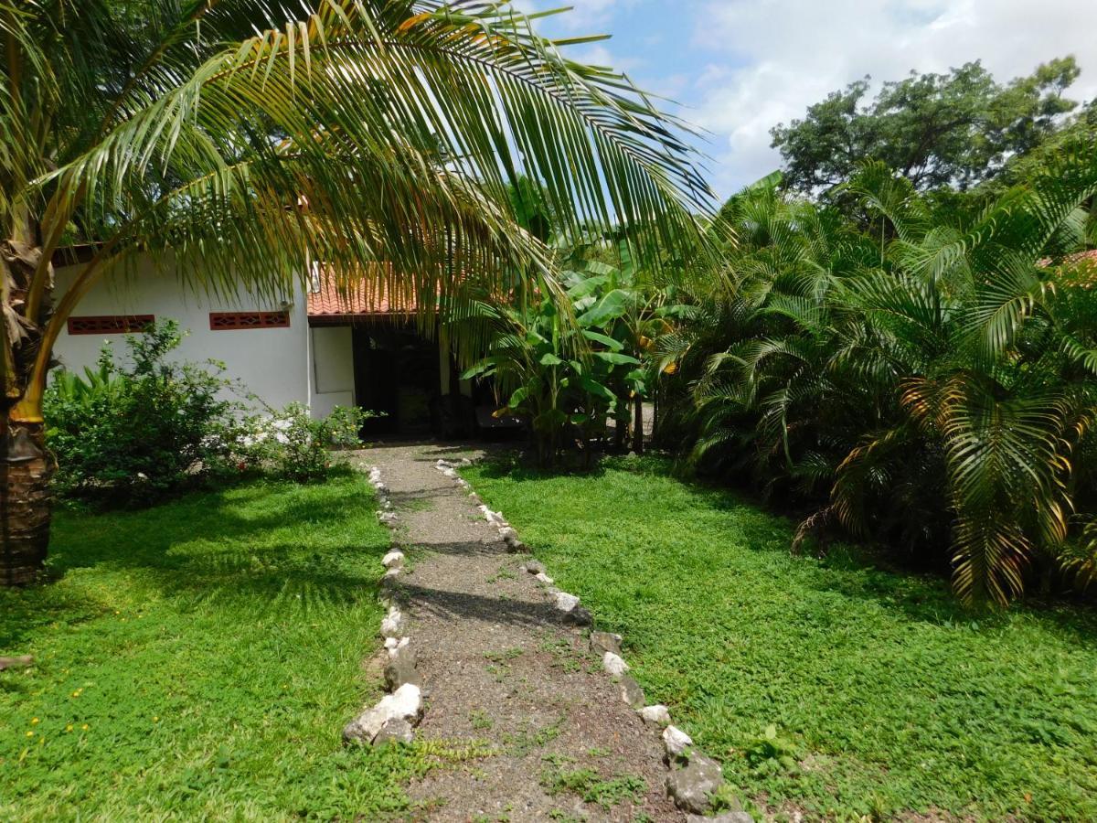 Villas Jungle 5 Sámara Dış mekan fotoğraf