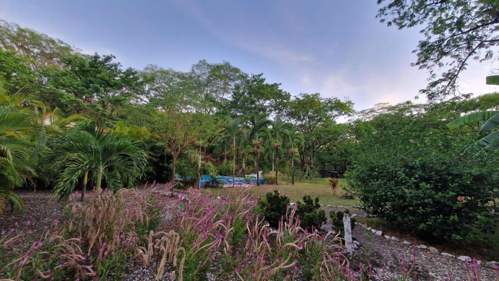 Villas Jungle 5 Sámara Dış mekan fotoğraf